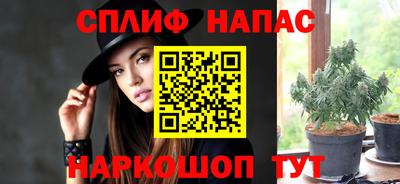 индика Будённовск