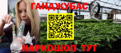 индика Будённовск