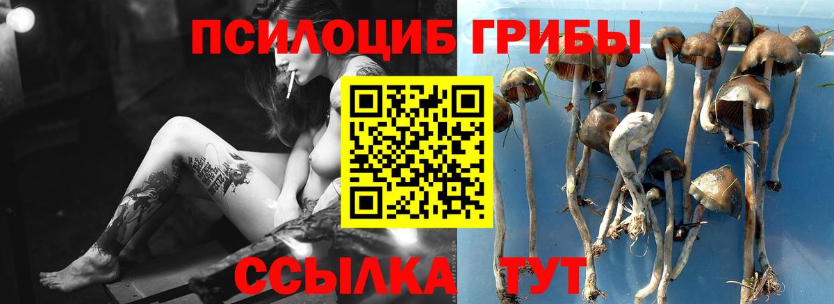 Галлюциногенные грибы прущие грибы Лабинск